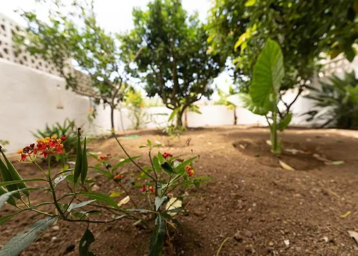 Будинок відпочинку Artiles