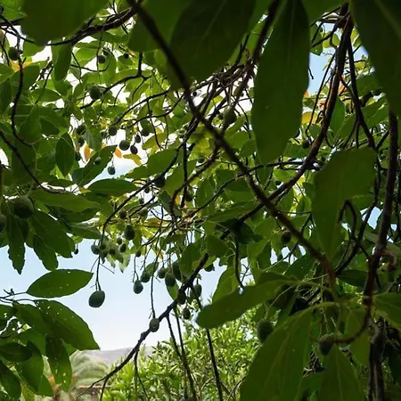 Σπίτι διακοπών Artiles *