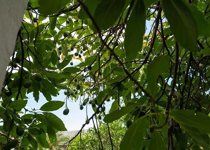 Σπίτι διακοπών Artiles *