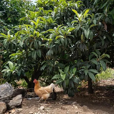 Nyaraló Artiles Las Palmas de Gran Canaria