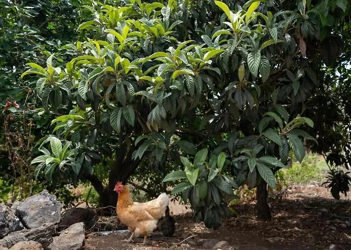 펜션 Artiles 라스팔마스